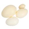 Toddmomy 4pcs Simulation Bird Eggs Model for Boys and Girls Lifelike Speckled Egg Toys for Educational Play view 1