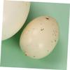 Toddmomy 4pcs Simulation Bird Eggs Model for Boys and Girls Lifelike Speckled Egg Toys for Educational Play view 3