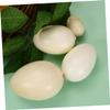 Toddmomy 4pcs Simulation Bird Eggs Model for Boys and Girls Lifelike Speckled Egg Toys for Educational Play view 4