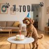 1st Dog Birthday Banner with Paw Prints Pre-Strung Dog Party Decor Easy Setup for Indoor/Outdoor Celebrations - Perfect for Pet Owners, Lovers view 1