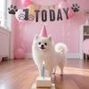 1st Dog Birthday Banner with Paw Prints Pre-Strung Dog Party Decor Easy Setup for Indoor/Outdoor Celebrations - Perfect for Pet Owners, Lovers view 4