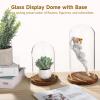 2 PCS Glass Cloche Display Dome with Wooden Base, 7.5/10 Inch Glass Display Cloche Dome, Clear Glass Dome Showcase for Flowers, Art Pieces, Collectibles, Keepsakes, Home Office Decor (2PCS) view 2