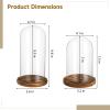 2 PCS Glass Cloche Display Dome with Wooden Base, 7.5/10 Inch Glass Display Cloche Dome, Clear Glass Dome Showcase for Flowers, Art Pieces, Collectibles, Keepsakes, Home Office Decor (2PCS) view 4