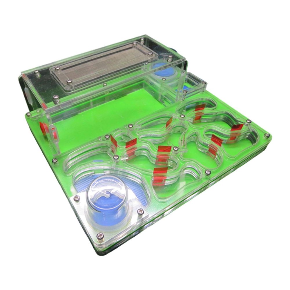 Fonowx ANT Nest Farm Insect Habitat with Feeding Section for Kids Learning, Green