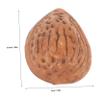 GALPADA 5sets 10pcs Lifelike Faux Almonds Decorative Food Models for Home Office Display Realistic Photography Props Simulation Almonds Crafts 10pcs*5 view 2