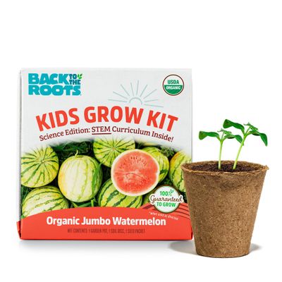 Back to The Roots Organic Watermelon Grow Kit