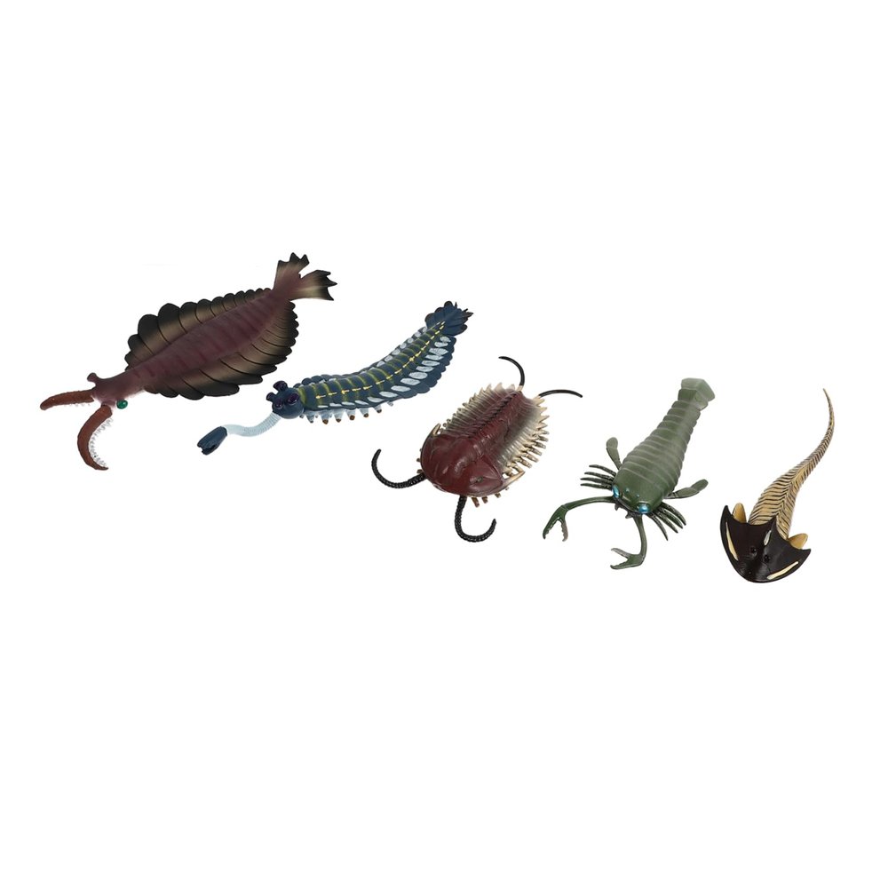 Homoyoyo 5Pcs Prehistoric Sea Creatures - Ancient Marine Creatures Figurines Set Featuring Dunkleosteus - Cephalaspis and Opabinia for ' Educational Play and Imaginative Adventures
