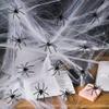 120 Pieces Plastic Spiders, Spiders Halloween Decorations, Halloween Spider, Fake Spiders, Black Small Spider Web Decoration, Realistic Prank Props Scare Fun Practical Surprise Joke Toys Home Party view 4