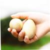 BESPORTBLE 2pcs Wooden Musical Egg for Percussion Instruments for Hands Material Safe for Early Music Learning view 2