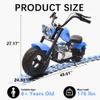 24V Kids Electric Motorcycle, Electric Dirt Bike for Kid, 176lbs Max, Disc Brake, Dual Suspensionat, Electric Motorbike for Kids 8-14, Blue view 2