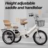 3 Wheels Bicycle,Rickshaw Tricycle with Pedals,Tandem Trike with Back seat,seat with Belt and armrest,Front and Rear Wheel Brakes,Outdoor Cruiser Bike,Pneumatic tire Spoke Wheels view 2