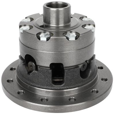 SCITOO Limited-Slip Posi Differential For Dodge Charger 1966-1973|For Chrysler Imperial 1961-1973|For Dodge A100 1964-1969|For Dodge A100 Pickup 1967-1970 ReplaceC8.75-PL-AGRS-30