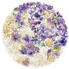 100PCS Flower Plants PET Transparent Stickers for Scrapbook Phone Cases Laptops Water Bottles Journal Notebook Bike Computer Helmet,Purple and Golden Flowers Waterproof Decal for Adult Girl Teen view 1