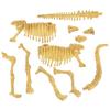 Yamasan Dino Fantasy Dinosaur Excavation Brachiosaurus 520323-3 Total Length 10.2 inches (26 cm) view 4