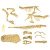 Yamasan 510286-1 Dino Fantasy Skeleton Kit, Total Length: 9.8 inches (25 cm) view 2