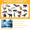 AENIMELY 16pcs Jungle Wild Animal Figurines Set  Realistic Baby Forest Animals Models of Toucan, Elephant, Squirrel, Lemur, Hedgehog etc.  Educational Toys for Kids, STEM Learning Gift, Cake Toppers view 3