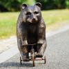 Big Bear - Little Trike view 1