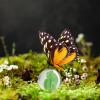 ORFOFE 200pcs Butterfly Feeder Marble Decorations Glass Outdoor Feeder Garden Decorative Marbles Unique Visual Effect view 2