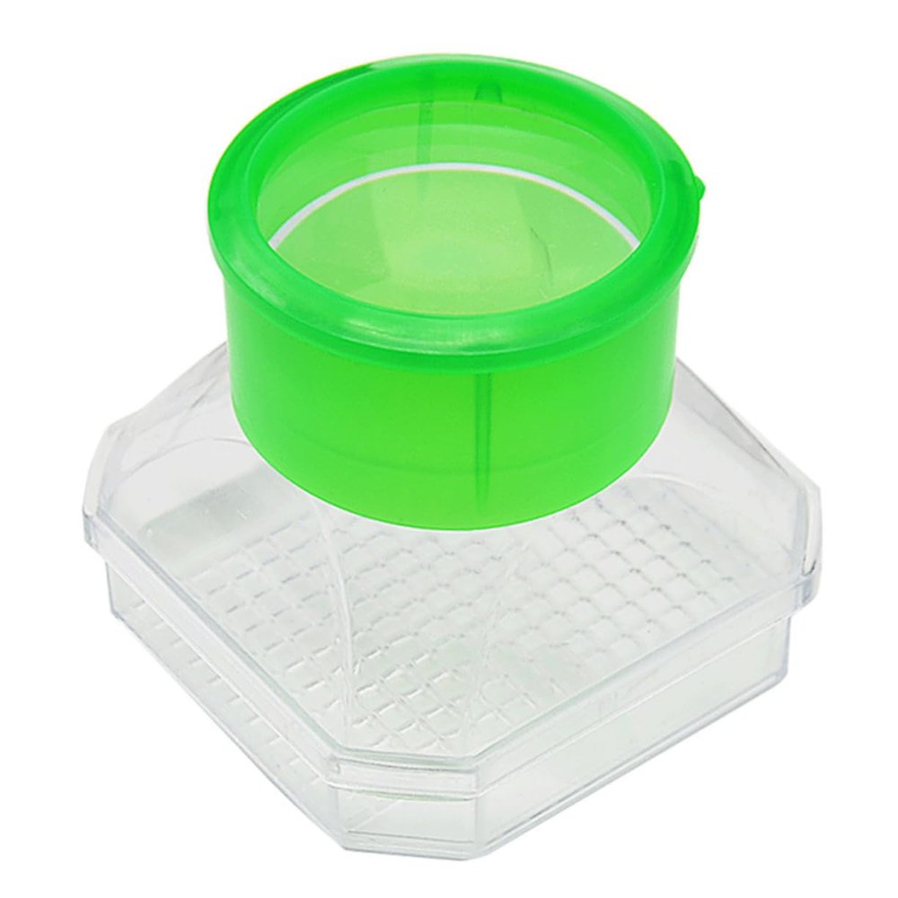 BRIGHTFUFU Insect Observation Box 3X Magnifying Glass Boys and Girls Exploration Viewer for Nature and Bug Collecting Compact and Lightweight for Outdoor Learning