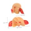 BESPORTBLE Pig Head Mask 3d Animal Mask Horror Halloween Cosplay Costume Accessories for Carnival Masquerade Halloween Party Props view 2
