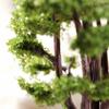 Sculpt Your Landscape with a Pack of 10 Model Trees for Displaying view 4