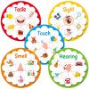 5 Senses Learning Activity for Kids Educational Teacher Supplies Five Senses Sorting Cards Learning Game Develop Fine Motor Skills for Toddlers Preschoolers and Kindergarteners Homeschool Must Haves view 1