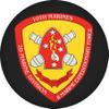 10th Marine Regiment US Marine Corps Challenge Coin view 3