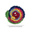 Cooperative Stretch Band Dynamic Movement Prop Elastic Tug Rope Exercise Band for Party Games, 7meters view 4
