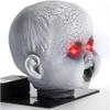 Creepy Doll Head,Paranormal Ghost Spirit Communication Tool Equipment EMF Device,Ghost Hunting Equipment (red) view 3