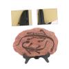 BIUDECO Simulation Dinosaur Desktop Ornament Raptor Decor for Home Fun Birthday Holiday Celebrations Encourages Imagination Play view 4