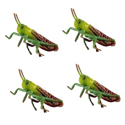 Abaodam 4 pcs Imitation Model Plastic Locust Figure for Realistic Educational for Natural Science Learning Stimulates Imagination and Cognitive Development Easy to Clean Present