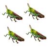 Abaodam 4 pcs Imitation Model Plastic Locust Figure for Realistic Educational for Natural Science Learning Stimulates Imagination and Cognitive Development Easy to Clean Present view 1