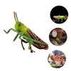 Abaodam 4 pcs Imitation Model Plastic Locust Figure for Realistic Educational for Natural Science Learning Stimulates Imagination and Cognitive Development Easy to Clean Present view 2