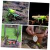Abaodam 4 pcs Imitation Model Plastic Locust Figure for Realistic Educational for Natural Science Learning Stimulates Imagination and Cognitive Development Easy to Clean Present view 3