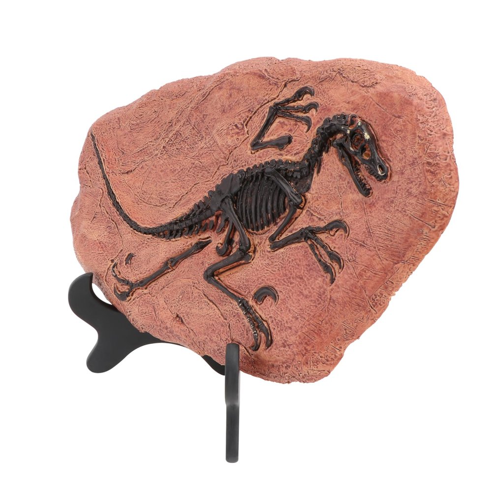 JECOMPRIS Simulation Dinosaur Model Raptor Decoration Creative Archeology Scene Educational Collectible Safe Material Engaging and Imaginative Play
