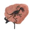 JECOMPRIS Simulation Dinosaur Model Raptor Decoration Creative Archeology Scene Educational Collectible Safe Material Engaging and Imaginative Play view 1