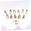 BRIGHTFUFU 12Pcs Mini Dinosaur Skeleton Model Lifelike Decor for Educational for Dinosaur Themed Parties Home Office and Bar Decorations view 3