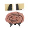 Mobestech Dinosaur Nursery Decor Park Dinosaur Ornaments Simulation Decor Model Boy Girl Toys view 4