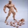 1/12 Scale Male Action Figure, 6 Inch Super Flexible Muscular Man Body Action Figure, 1/12 Strong Muscle Man Bodybuilder Figure Model with Detachable Hands Gesture Shapes Accessories (Suntan skin) view 2