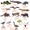 AENIMELY 14PCS Lake Animal Figurines  Realistic Canadian Wildlife Toys for Kids  North American Animal Models for STEM Learning, Cake Toppers, Science Projects, Educational Gifts view 3