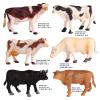 AENIMELY Mini Cow Figurines Set  Realistic Solid Plastic Dairy Cattle Farm Animal Figuriness  Educational Toys, Cake Toppers, Gifts for Kids view 2