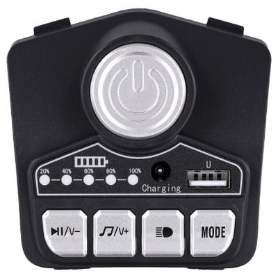 Yaregelun 12V HB12V Multi-Feature Central Control Board for Children'S Electric Vehicle Repairs