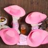 Hillban 12 Pack Cowboy Hat and Bandana, Cowgirl Hats Felt Cowboy Party Hats Bulk Western Bandanas for Party Costume(Pink) view 2