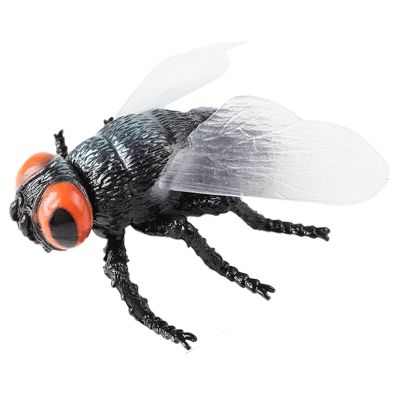 AENIMELY Large Fly Figurine  Hollow Realistic Insect Bug Model Toy for Kids  Educational Bug Toy for Science Class and Display
