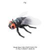 AENIMELY Large Fly Figurine  Hollow Realistic Insect Bug Model Toy for Kids  Educational Bug Toy for Science Class and Display view 2