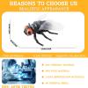 AENIMELY Large Fly Figurine  Hollow Realistic Insect Bug Model Toy for Kids  Educational Bug Toy for Science Class and Display view 3