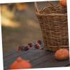 Cabilock 4sets Realistic Foam Chestnut Decor Fake Food Prop for Photography Lifelike Nuts for Home Office Display Fall Harvest Decorations Easy to Clean 30pcs*4 view 2