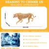 AENIMELY Large Hollow Walking Cheetah Figurine  Realistic Safari Big Cat Model Toy for Kids, Educational Wildlife Animal Figurines, Cake Topper & Jungle Diorama Decor view 3