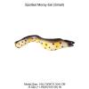 AENIMELY Realistic Small Spotted Moray EEL Figurine  Solid Plastic Sea Animal Figurines for Kids, Educational Marine Life Toy, Ocean Science Gift for Boys view 2