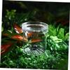 Gogogmee Insect Observation Cup Magnifying Critter Box for Boys and Girls Small Breeding Container Lid for Outdoor Exploration and Science Education view 4
